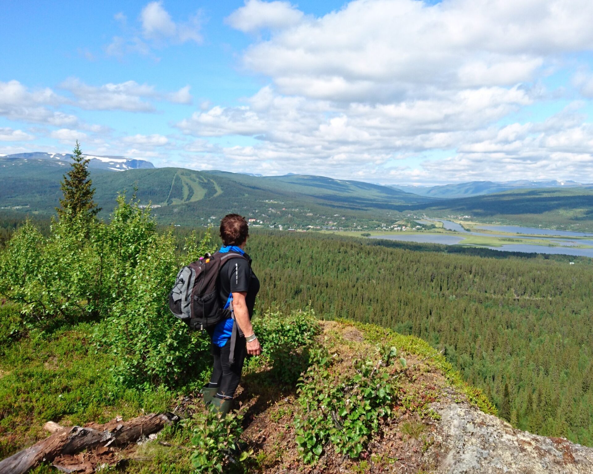 Långflytjet